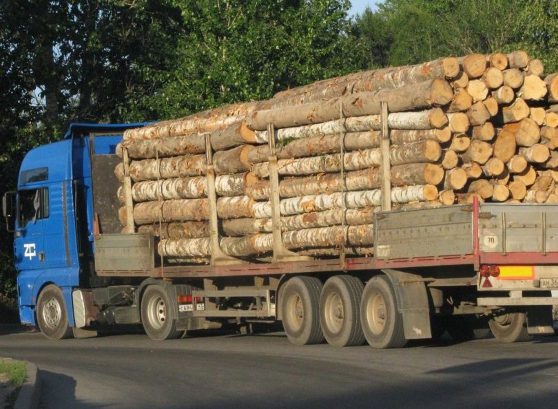 В Башкирии выявлено более 20 случаев незаконного вывоза лесоматериалов
В Башкирии выявлено более 20 случаев незаконного вывоза лесоматериалов