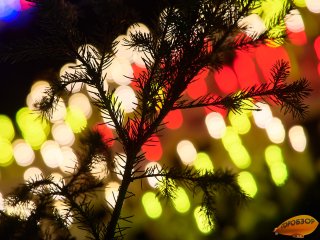 К празднованию Нового года в Уфе установят 22 городские елки