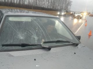 В Башкирии на трассе сбили насмерть 53-летнего мужчину