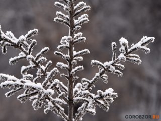 В Башкирии на выходных резко пойдет снег и похолодает до -6°