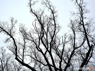В Башкирии объявлено штормовое предупреждение
