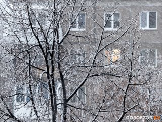 В Башкирии прогнозируют снег 
