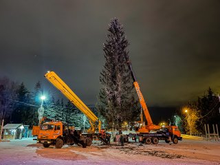 В Уфе установили главную новогоднюю елку 
