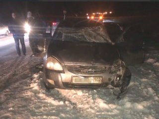 В Уфимском районе в ДТП с диким животным погиб мужчина 
