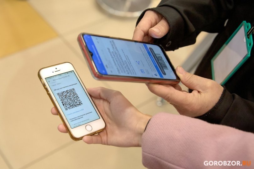 Минтранс России не будет проверять QR-коды перед продажей билетов на самолет Минтранс России не будет проверять QR-коды перед продажей билетов на самолет