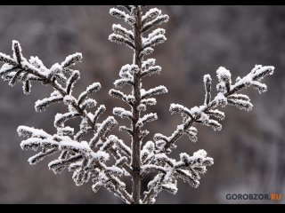 На Башкирию надвигаются морозы до -35°