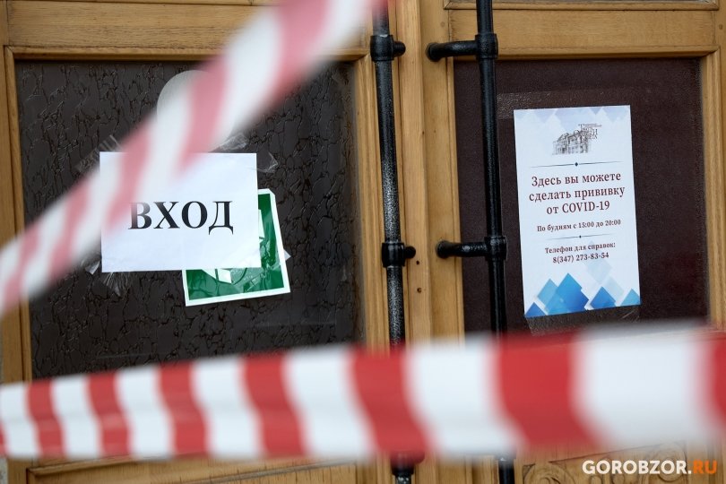 Недалеко от границы Башкирии обнаружили вирус ящура Недалеко от границы Башкирии обнаружили вирус ящура