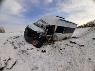 Пять человек госпитализированы после ДТП с пассажирским автобусом в Башкирии