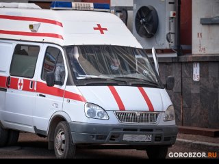 Следком начал проверку нападения стаи собак на 13-летнюю девочку в Уфе