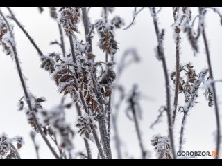 В Башкирии резко похолодает до -30°