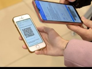 Законопроект о введении QR-кодов на транспорте снимут с рассмотрения