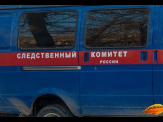 Жителя Башкирии осудили за сексуальное насилие в отношении 11-летней девочки 