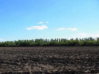 «Совести нет»: пайщица о действиях экс-главы Иглинского района Ришата Исхакова