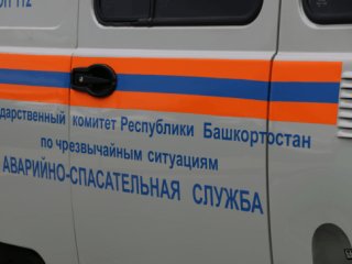 В Башкирии четыре человека потерялись в лесу