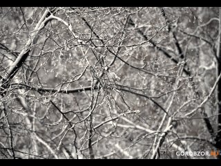 В Башкирии пообещали до -28°, изморозь и гололедицу