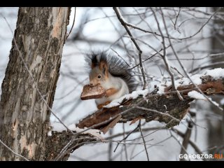 В Башкирии пообещали морозы до -28° и гололедицу