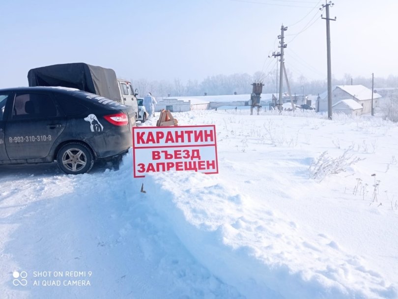 В трех районах Башкирии ввели карантин из-за африканской чумы свиней В трех районах Башкирии ввели карантин из-за африканской чумы свиней