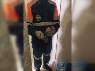 В Уфе спасатели поймали питона в жилом доме