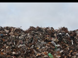 Власти Башкирии ответили на просьбу отказаться от строительства мусорного полигона в Благовещенске