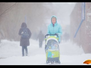 Глава ГИБДД Владимир Севастьянов попросил не выезжать жителей Башкирии за город