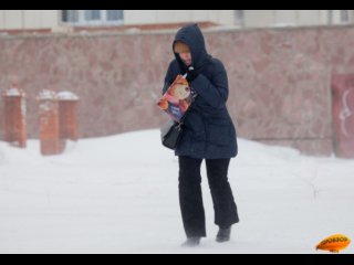 Жителей Башкирии предупредили о метелях и сильном ветре