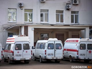 Минздрав Башкирии сообщил о состоянии 6-летнего мальчика после нападения собаки
