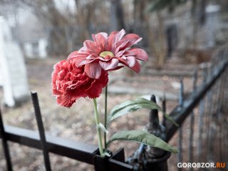 Названы районы Башкирии с высоким уровнем смертности