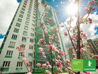 Покупка квартиры без оформления ипотеки: альтернативные способы