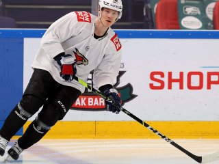 Шевченко: «Хоккейных аргументов за отъезд Сошникова в НХЛ не существует. Он заметно сдал после переезда из Уфы»