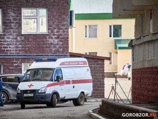 Следком Башкирии проверяет нападение собак на женщину с 8-летним ребенком 