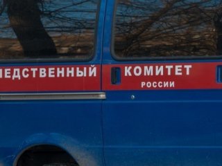 Тела двух жителей Башкирии нашли в припаркованном автомобиле в Удмуртии