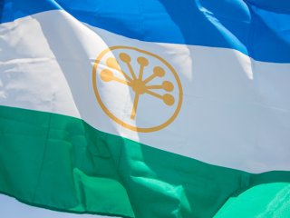 В Башкирии ишимбайские пчеловоды хотят объединиться в кооператив