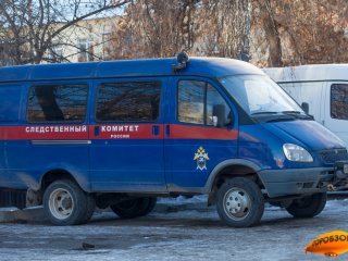 В Башкирии оставившей в снегу 11-месячную малышку женщине вынесли приговор