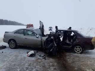 В Башкирии 24-летний водитель отечественного автомобиля погиб в аварии 