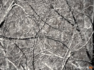 В первые дни весны в Башкирии пообещали до -15°