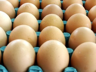 УФАС Башкирии потребовало от торговой сети снизить цены на куриные яйца
