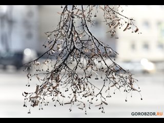 В Башкирии прогнозируют мокрый снег и потепление до +6°