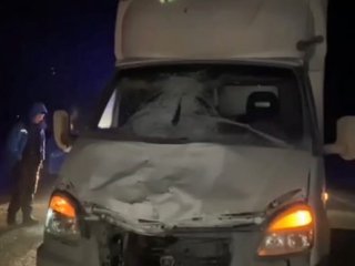 В Башкирии «Газель» насмерть сбила 56-летнего пешехода