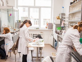 В Башкирии ученые создали экологически безопасное удобрение с использованием отечественного сырья