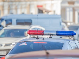 В Уфе до 4 марта пройдут массовые проверки автомобилей