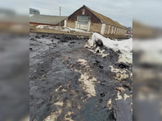 «Критической ситуации я не вижу»: в администрации района Башкирии отреагировали на жалобу сельчан