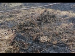 В Башкирии на земле нашли тело мужчины после тушения травы