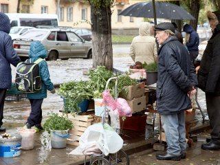 В Башкирии отменят штрафы за уличную торговлю
