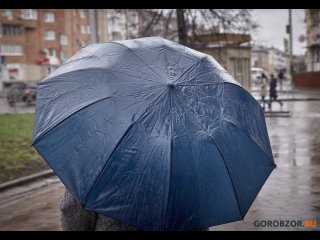 В Башкирии пообещали северный порывистый ветер и дождь