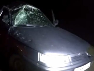 В Башкирии в перевернувшемся автомобиле скончался 22-летний водитель