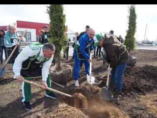 В Башкирии за выходные посадили 85 тысяч деревьев и кустарников