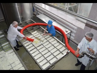 «Аналогов еще не было»: глава Башкирии рассказал о старте производства сырного зерна в республике