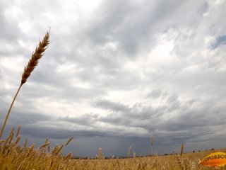 В Башкирии ожидается теплая, но пасмурная погода