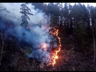 В Башкирии в заповеднике на Малом Ямантау горит лес на 7 га