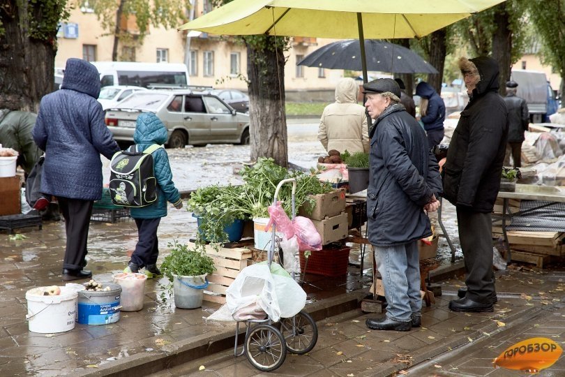 В Башкирии вступил в силу закон об отмене штрафов за уличную торговлю В Башкирии вступил в силу закон об отмене штрафов за уличную торговлю